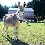 L' Instant Ch' Bed & Breakfast 3*