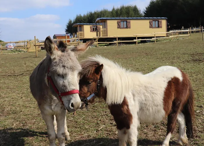 Bed & Breakfast L' Instant Ch' Oizy
